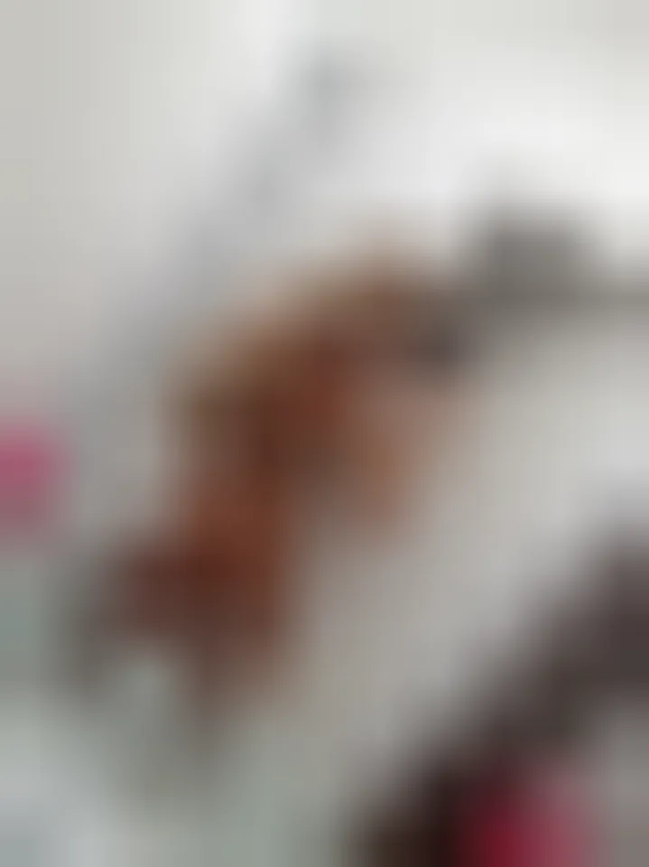Brigitte, 26 ans — rencontre libertine à Saint-Martin-d'Hères